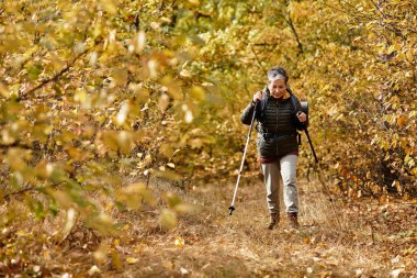Son sınıf öğrencisi bir kadın, sonbahar yaprakları ve sıcaklıkla süslenmiş bir orman patikası boyunca mutlu bir şekilde yürür..