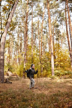 Yürüyüş kıyafetli bir kadın, bir sonbahar günü ormanın huzurlu güzelliğini keşfeder..