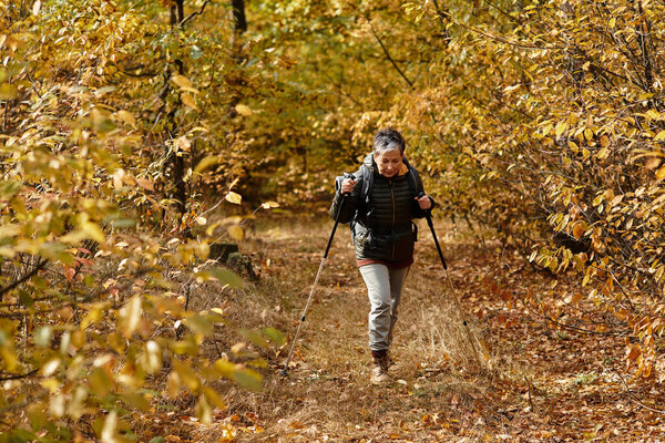 Senior woman enjoys a peaceful hike surrounded by golden foliage in the autumn forest.