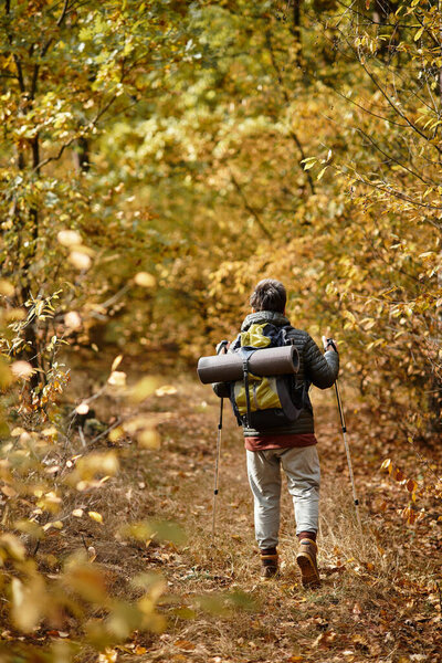 A senior woman enjoys hiking through a colorful forest, surrounded by autumns brilliant foliage.