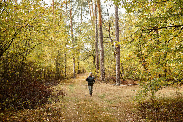 A senior woman enjoys a peaceful hike along a forest trail surrounded by colorful autumn foliage.