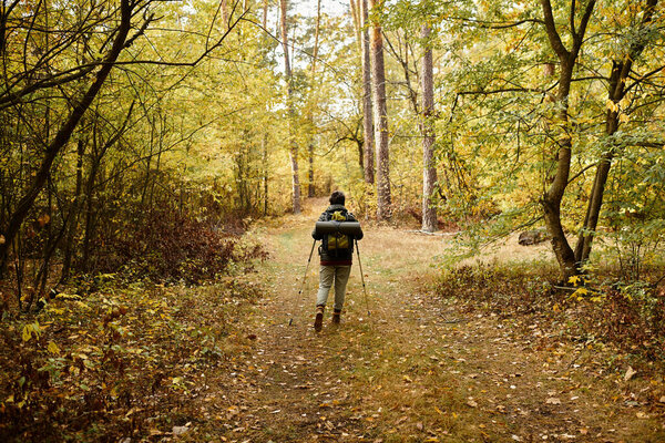 A senior woman enjoys a peaceful hike through vibrant autumn foliage in the forest.