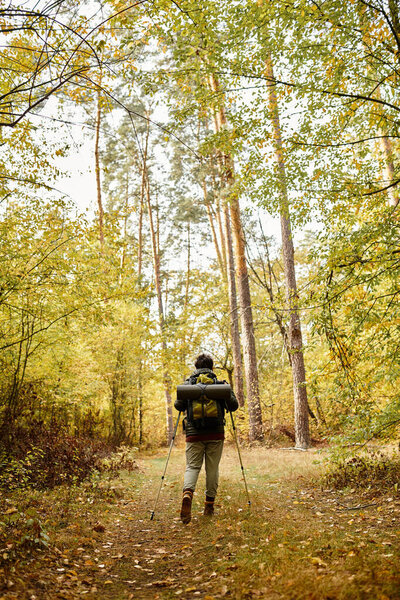 A senior woman hikes along a tranquil path surrounded by colorful fall foliage in the forest.