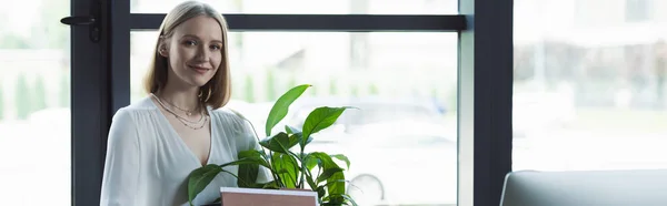 Stagista positivo guardando la fotocamera vicino alla pianta e al computer in ufficio, banner — Foto stock
