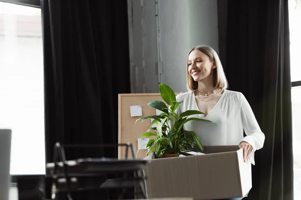 Glücklicher neuer Arbeiter hält Karton mit Pflanze im Büro — Stockfoto