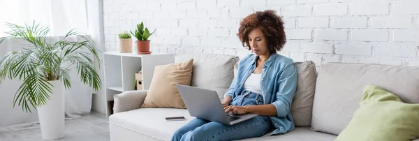 Кучерявий афроамериканський фрілансер, використовуючи ноутбук, сидячи на дивані і працюючи з дому, банер — стокове фото