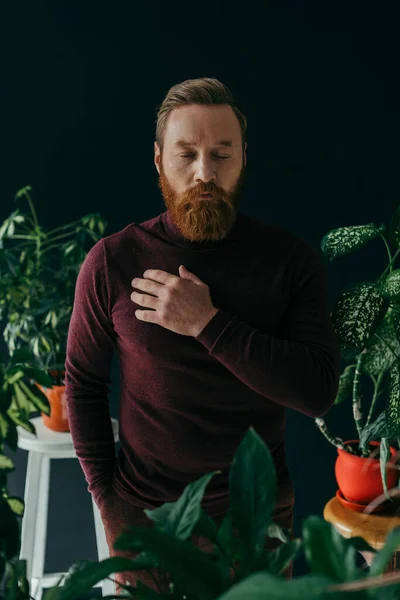 Bearded man in jumper touching chest near plants on black background — Stock Photo