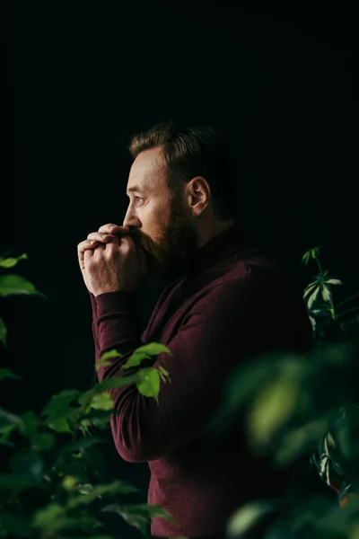 Вид сбоку стильного мужчины в джинсах, держащего руки возле рта, стоя между растениями на черном фоне — стоковое фото