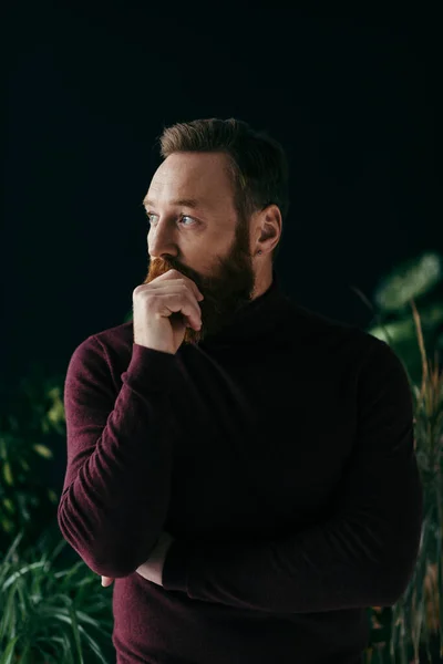 Elegante hombre en jersey borgoña tocando bigote cerca de plantas aisladas en negro - foto de stock