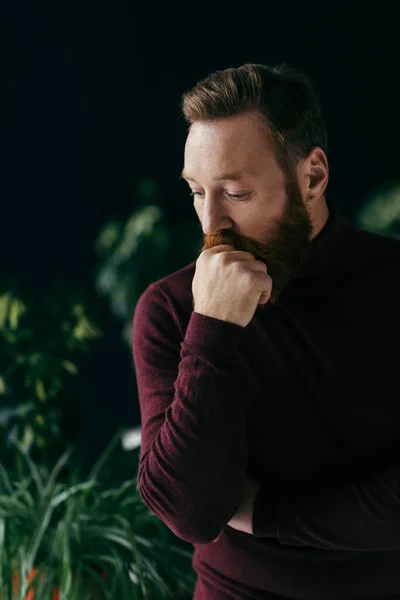 Uomo barbuto pensieroso in maglione guardando lontano vicino a piante sfocate isolate sul nero — Foto stock