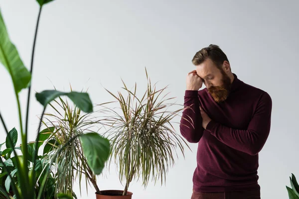Trendiges Modell im Pullover, das in der Nähe tropischer Pflanzen steht, isoliert auf grau — Stockfoto