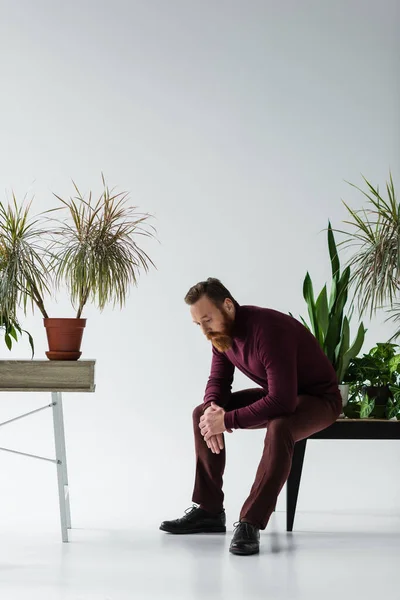 Piena lunghezza di uomo premuroso seduto vicino a diverse piante in vasi da fiori su grigio — Foto stock