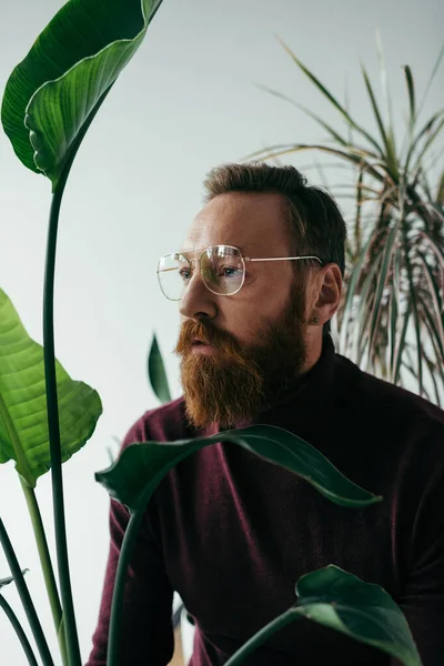 Homme barbu dans des lunettes debout près de plantes tropicales vertes sur gris — Photo de stock