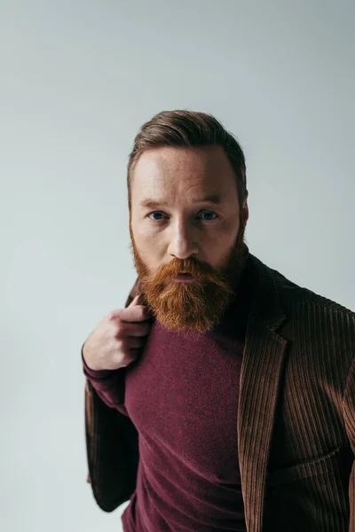 Портрет бородатого чоловіка в Туртленеку і блейзері дивлячись на камеру ізольовану на сірому — стокове фото