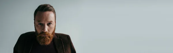 Homem sério e barbudo em blazer olhando para a câmera isolada em cinza, banner — Fotografia de Stock