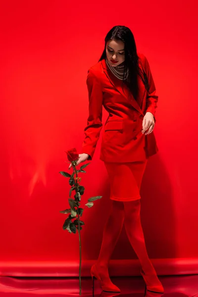 Young woman in jacket and skirt holding rose on red background — Stock Photo