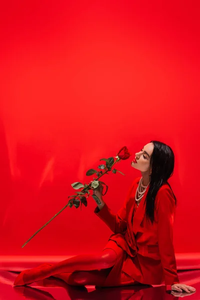 Hübsche brünette Frau in Jacke, die Rose riecht, während sie auf rotem Hintergrund sitzt — Stockfoto