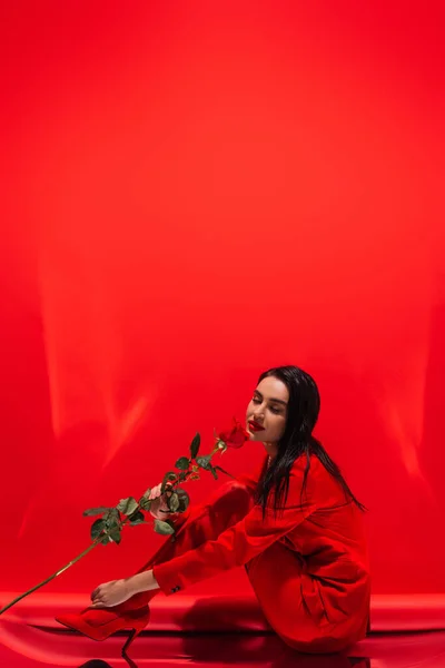 Elegante Frau in High Heels duftet Rose, während sie auf rotem Hintergrund sitzt — Stockfoto