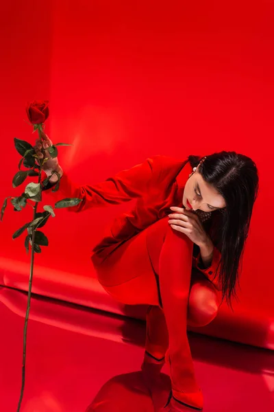 Модная брюнетка модель в куртке и на каблуках держа розу на красном фоне — стоковое фото