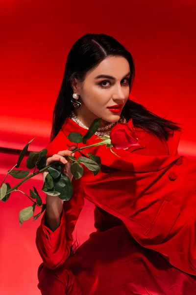 Pretty brunette woman in jacket holding rose and looking at camera on red background — Stock Photo