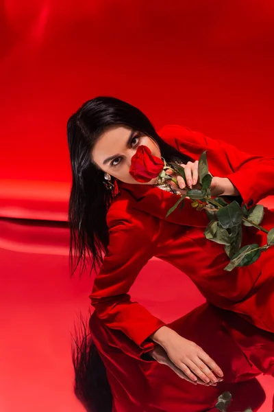 Brunette woman in jacket covering face with rose on reflective surface on red background — Stock Photo