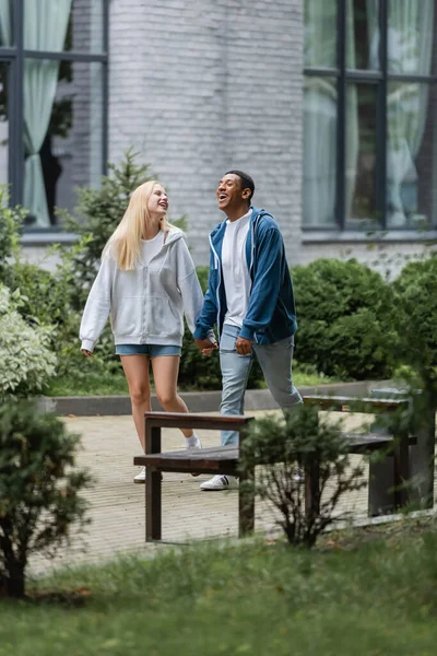 Alegre pareja interracial cogida de la mano y caminando por la calle de la ciudad cerca de plantas verdes - foto de stock