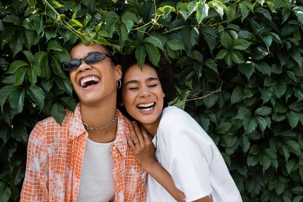 Щасливі афроамериканські лесбіянки сміються біля зеленого куща в парку — стокове фото