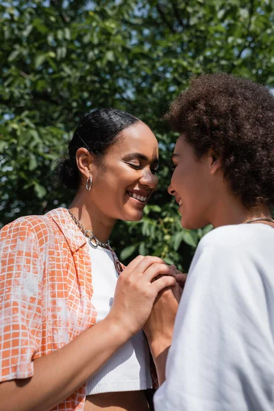 Freudiges afrikanisch-amerikanisches lesbisches Paar lächelt, während es sich im grünen Park die Hände hält — Stockfoto