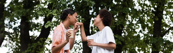 Радостная африканская лесбиянка-американка держит кофе, чтобы пойти и поцеловать руку подружки в парке, баннер — стоковое фото