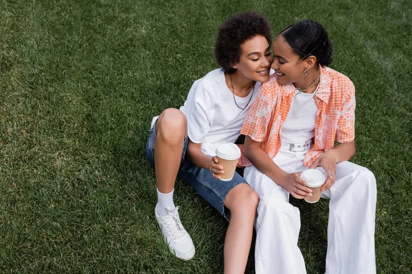 Vue grand angle de joyeux afro-américains lesbiennes femmes tenant des tasses en papier et assis sur l'herbe dans le parc — Photo de stock