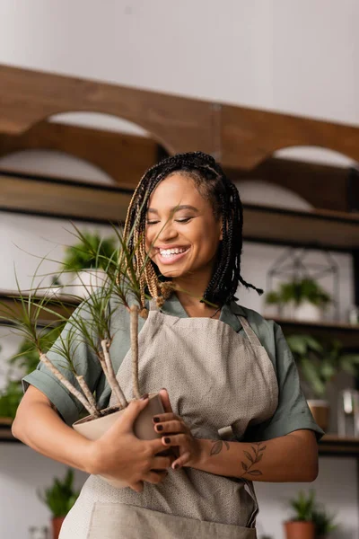 Florista afroamericano tatuado sonriendo mientras sostiene la planta en maceta verde en la tienda de flores - foto de stock