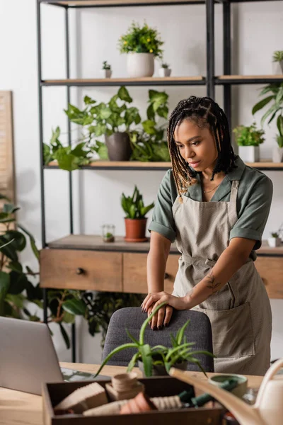 Jovem florista afro-americano em avental olhando para laptop perto de plantas em vaso na loja de flores — Fotografia de Stock