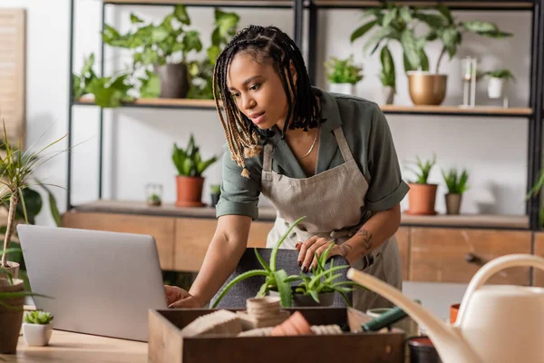 Young african american florist using laptop near blurred flowerpots and watering can in flower shop — Stock Photo