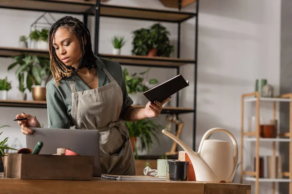 Mulher americana africana elegante em notebook avental segurando e olhando em caixa com vasos perto do laptop — Fotografia de Stock
