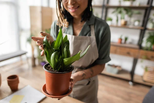 Cropped view of pleased african american florist touching leaves of natural potted plant in flower shop — Stock Photo