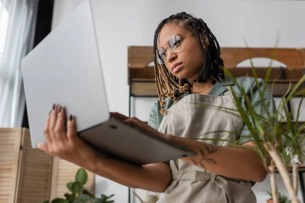 Low angle view of serious african american florist looking at laptop while standing in flower shop — Stock Photo