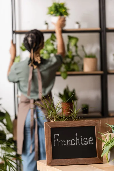 Selective focus of board with franchise inscription and african american florist near rack with plants on blurred background — Stock Photo