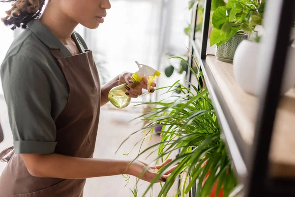 Partial view of young african american florist in apron touching leaves of green plant and holding spray bottle with fresh water — Stock Photo