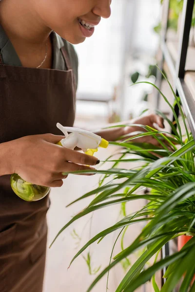 Partial view of cheerful african american florist holding spray bottle with fresh water near green plant in flower shop — Stock Photo