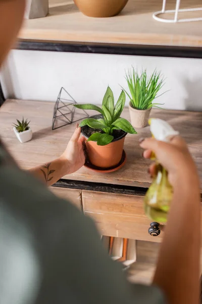 Vista parziale di sfocato fiorista afroamericano che tiene bottiglia spray vicino a piante in vaso naturali su rack — Foto stock