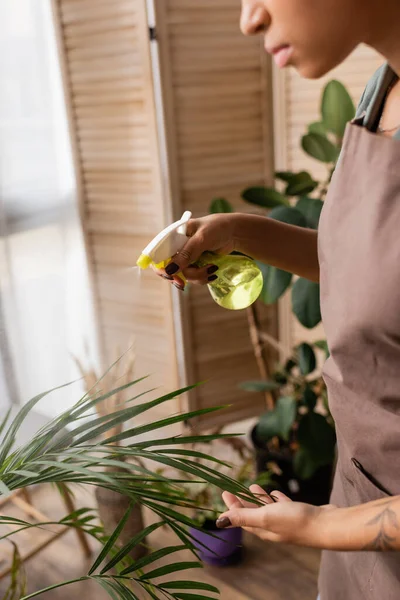 Частковий вид афроамериканського флориста в фартухах, що обприскує листя зелених рослин в квітковому магазині — Stock Photo
