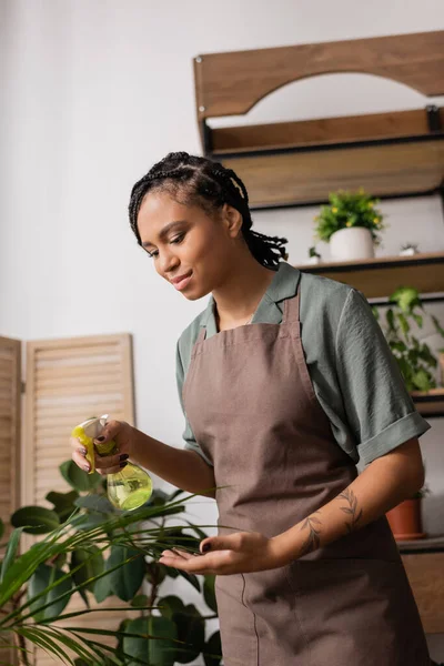 Positive african american florist in apron spraying water on green plant in flower shop — Stock Photo