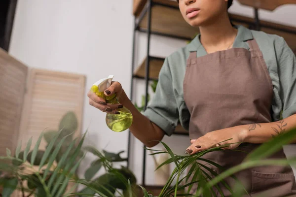 Low angle view of african american florist in apron spraying green plants with pure water in flower shop — Stock Photo