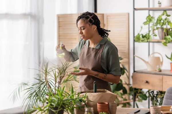 Elegante florista afro-americano em avental pulverizando água doce em plantas em vasos perto de diferentes vasos — Fotografia de Stock