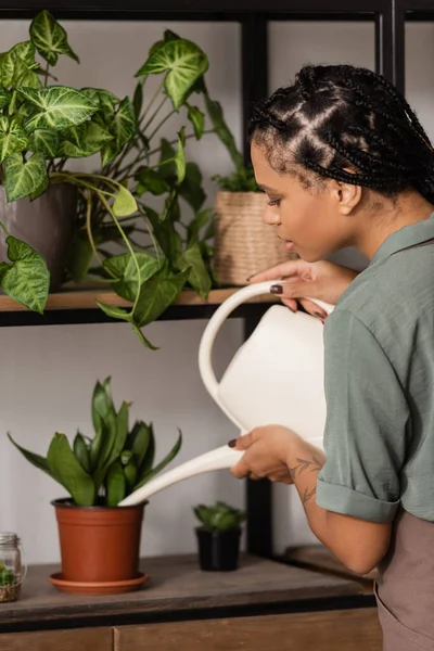 Stylish african american florist watering green plant on rack in flower shop — Stock Photo