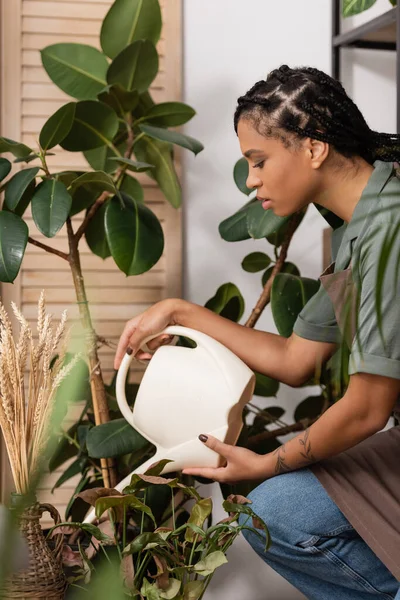 Вид збоку красивого афроамериканського флориста з трендовою зачіскою поливу рослин у квітковому магазині — стокове фото
