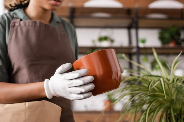 Cropped view of african american florist in work gloves holding flowerpot near green plant — Stock Photo