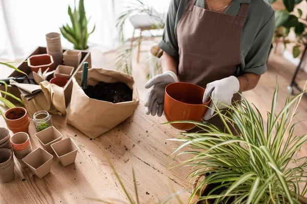 Cropped view of african american woman in apron and work gloves near paper bag with soil and different flowerpots — Stock Photo