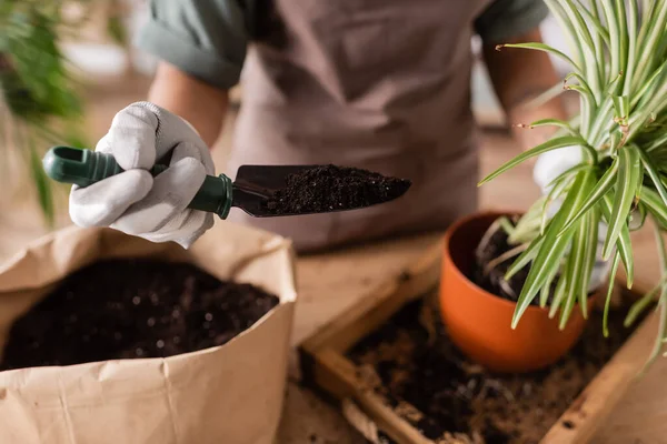 Partial view of blurred african american florist holding green plant near paper bag and garden scoop with soil — Stock Photo