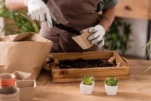 Vista ritagliata di fiorista afroamericano in guanti da lavoro riempimento vaso da fiori con terreno vicino scatola di legno e piccole piante — Foto stock